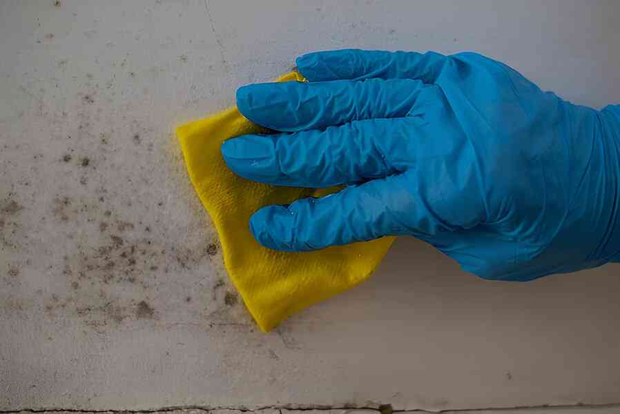 Cleaning black molds on the ceiling with reagents