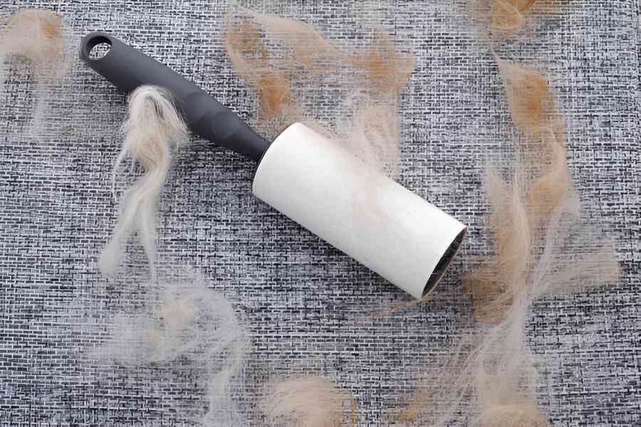 Close up image of a lint roller with an animal fur