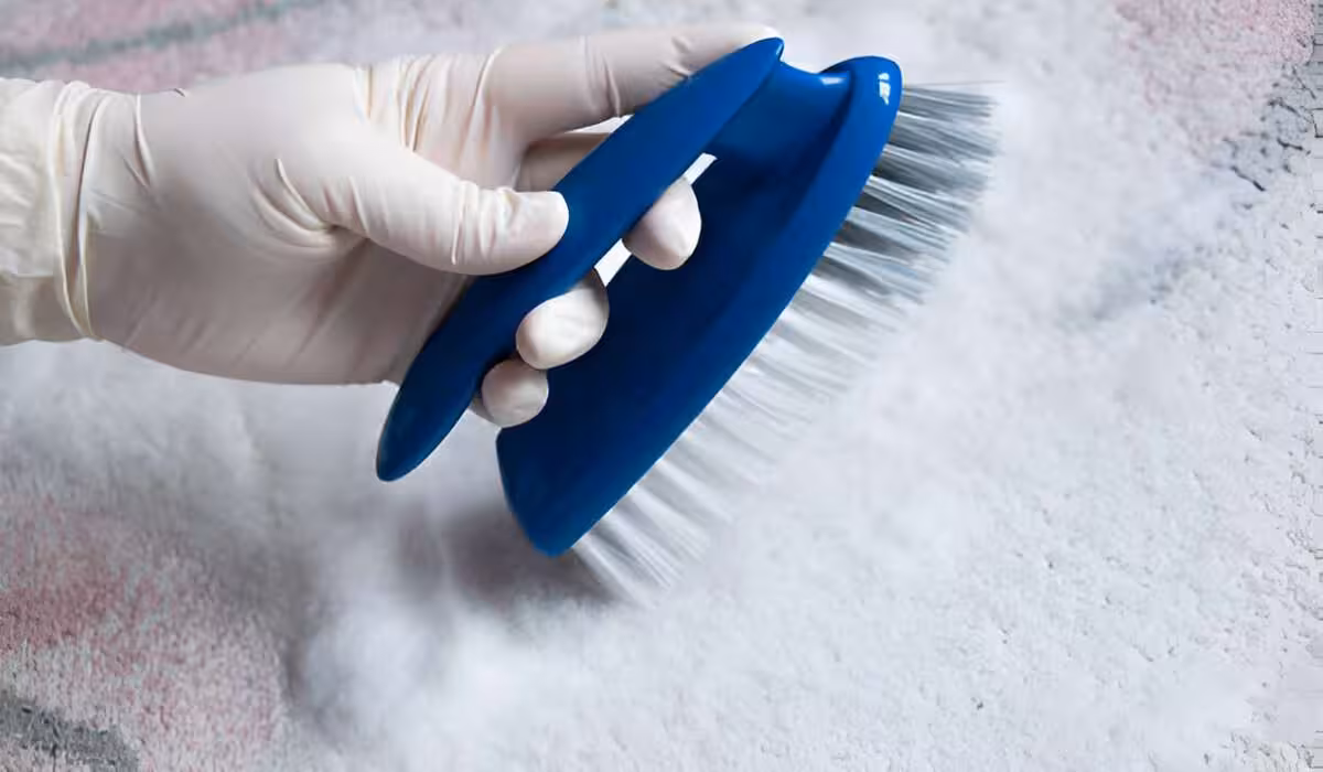 A bristle brush used in loosen the embedded dirt on your wool blanket.